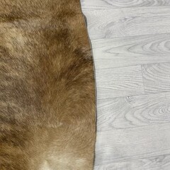 Koeienhuid bruin zwart brindle 210x200cm M/L