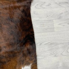 Koeienhuid bruin zwart wit brindle 185x175cm S