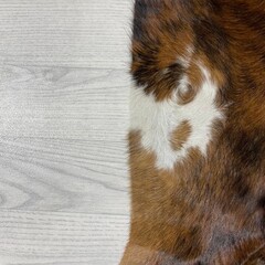 Koeienhuid bruin zwart wit brindle 185x175cm S