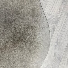 Koeienhuid multi color 230x195cm M/L
