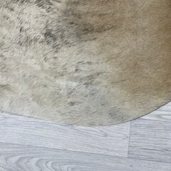 Koeienhuid beige zwart creme 210x190cm M/L