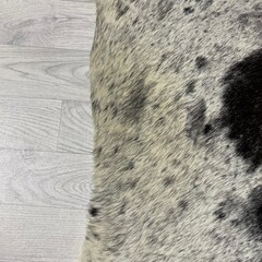 Koeienhuid zwart wit creme SP 230x190cm M/L