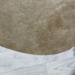 Koeienhuid bruin beige 230x200cm M/L