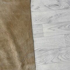 Koeienhuid bruin beige 230x200cm M/L