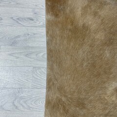 Koeienhuid bruin beige 230x200cm M/L