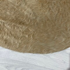 Koeienhuid beige wit 240x205cm XL