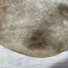 Koeienhuid bruin beige 245x220cm XXL