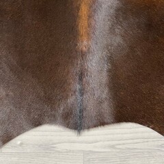 Koeienhuid bruin zwart wit 220x185cm M/L