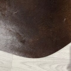 Koeienhuid bruin zwart wit 220x185cm M/L