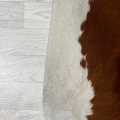 Koeienhuid bruin wit Hereford 190x190cm M/L