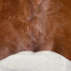Koeienhuid bruin wit Hereford 200x205cm M/L