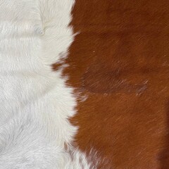 Koeienhuid bruin wit Hereford 200x205cm M/L