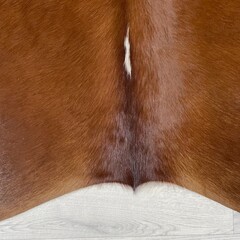 Koeienhuid bruin wit Hereford 215x205cm M/L