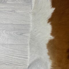 Koeienhuid bruin wit Hereford 215x200cm M/L