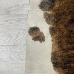 Koeienhuid bruin zwart wit brindle 225x210cm M/L