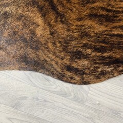Koeienhuid bruin zwart wit brindle 220x205cm M/L