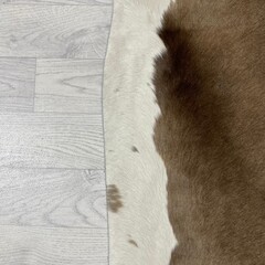 Koeienhuid taupe wit 210x185cm M/L