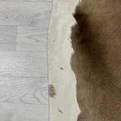 Koeienhuid taupe wit 210x185cm M/L