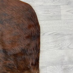 Koeienhuid bruin zwart brindle 190x185cm M/L