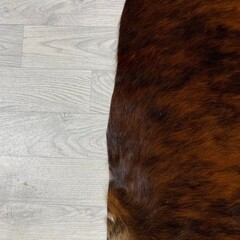 Koeienhuid bruin zwart brindle 190x185cm M/L