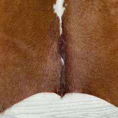 Koeienhuid bruin wit Hereford 220x210cm M/L