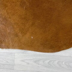 Koeienhuid bruin wit Hereford 205x205cm M/L