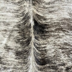 Koeienhuid bruin beige wit brindle 230x185cm M/L