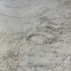 Koeienhuid bruin beige creme brindle 230x220cm XL