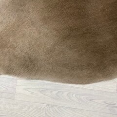 Koeienhuid taupe wit 230x205cm M/L