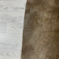 Koeienhuid taupe wit 230x205cm M/L