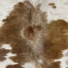 Koeienhuid bruin creme 205x175cm M/L