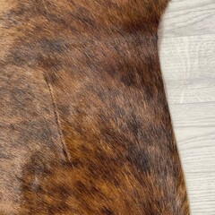 Koeienhuid bruin zwart brindle 195x175cm M/L