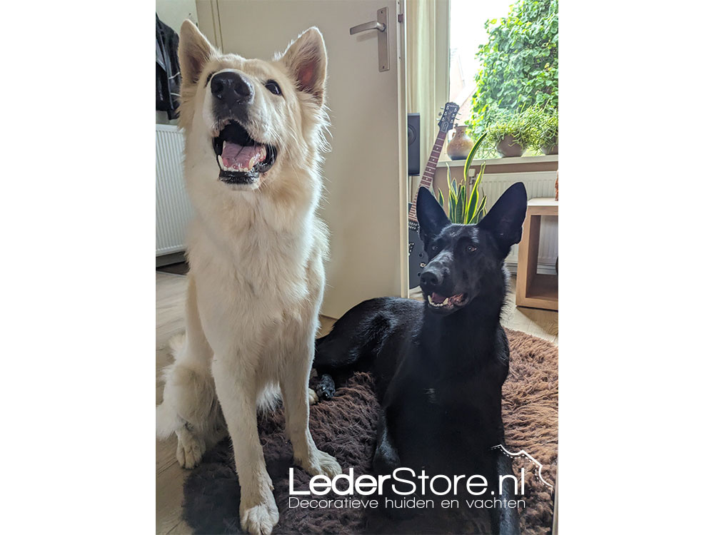 Schapenvacht bruin Susan en honden Stella en Jax