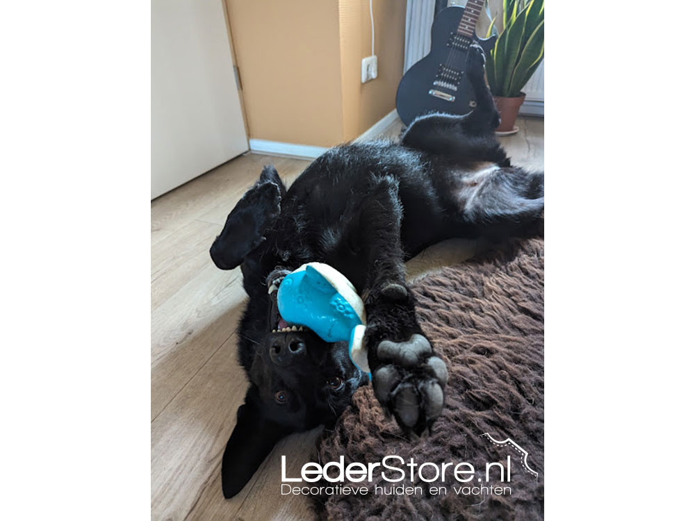 Schapenvacht bruin Susan en hond Jax