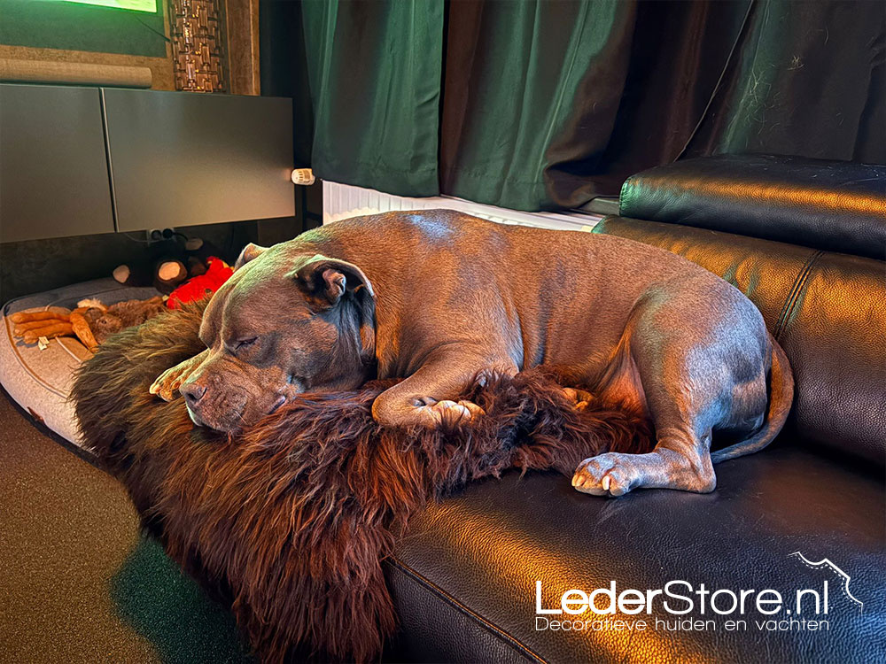 Schapenvacht bruin met hond Ivy Laura