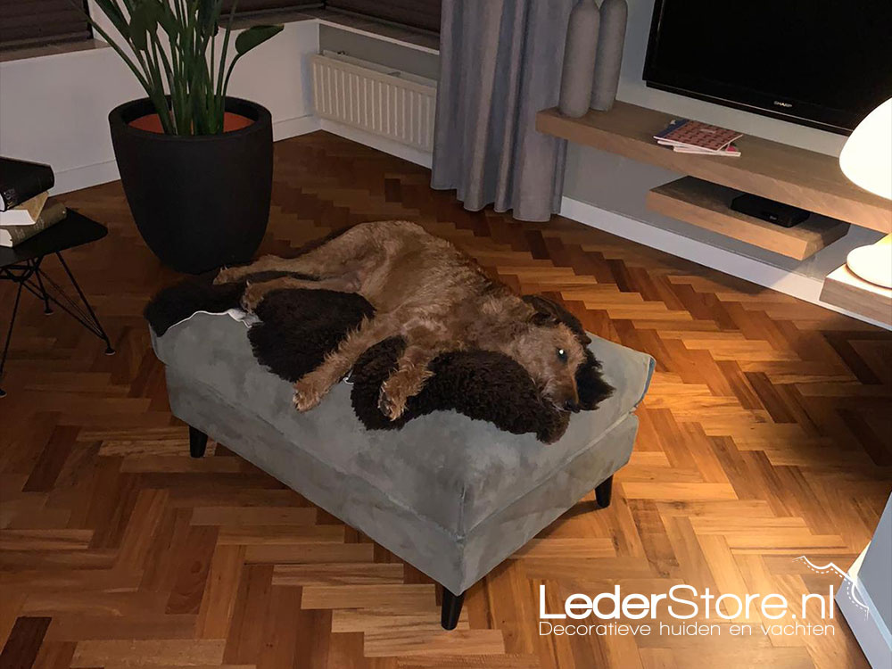 Bruine schapenvacht op hocker met hond Rob en Jose