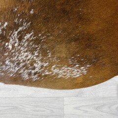 Koeienhuid bruin zwart wit 215x205cm