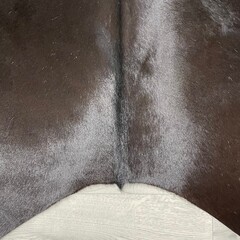 Koeienhuid bruin zwart wit 235x235cm