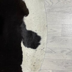 Koeienhuid bruin zwart wit 235x235cm