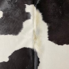 Koeienhuid zwart wit bruin creme 235x220cm