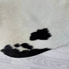 Koeienhuid zwart creme 250x235cm