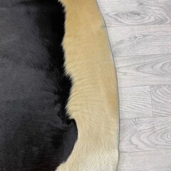 Koeienhuid bruin wit creme 240x235cm