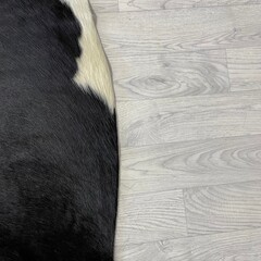 Koeienhuid zwart wit creme 240x210cm