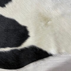 Koeienhuid zwart creme 195x220cm
