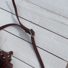 Tas Gemma springbok bruin 29x23cm