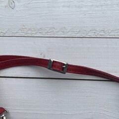 Tas Mickey koeienhuid (Nguni) struisvogel zwart wit rood 25x20cm