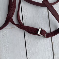 Tas Carol Springbok wine 23x15cm