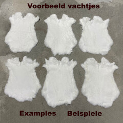 Konijnenvachten wit L45-50 x B30-40cm