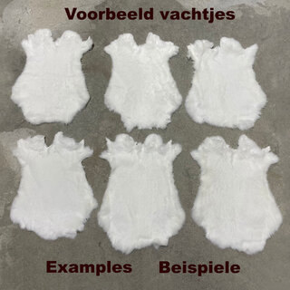 Konijnenvachten wit L45-50 x B30-40cm