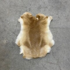 Konijnenvachten beige wit 45-50 x 30-40cm